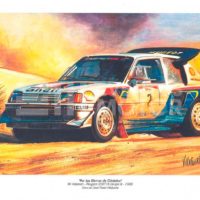 pintura rally grupo B Peugeot 205