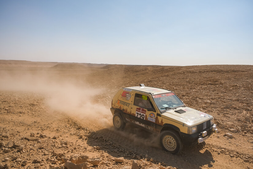 Dakar Classics Panda