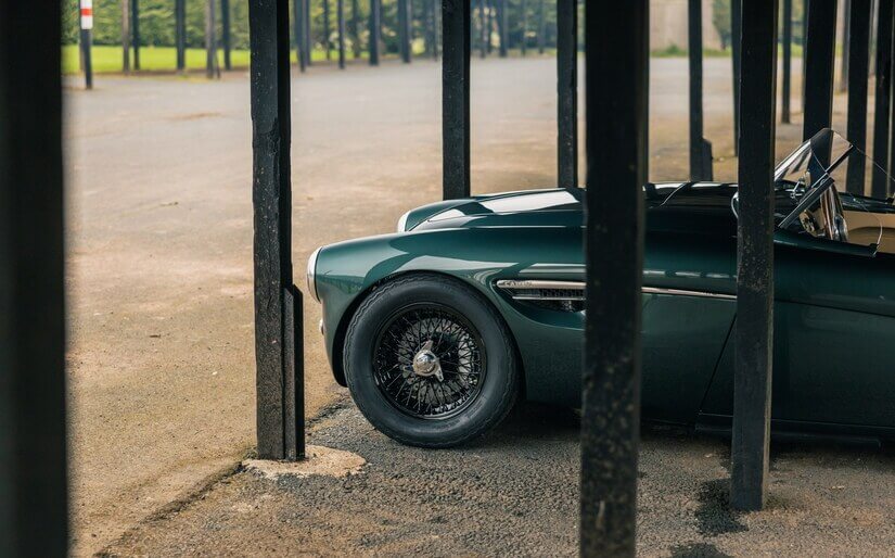 Austin Healey 100 perfil