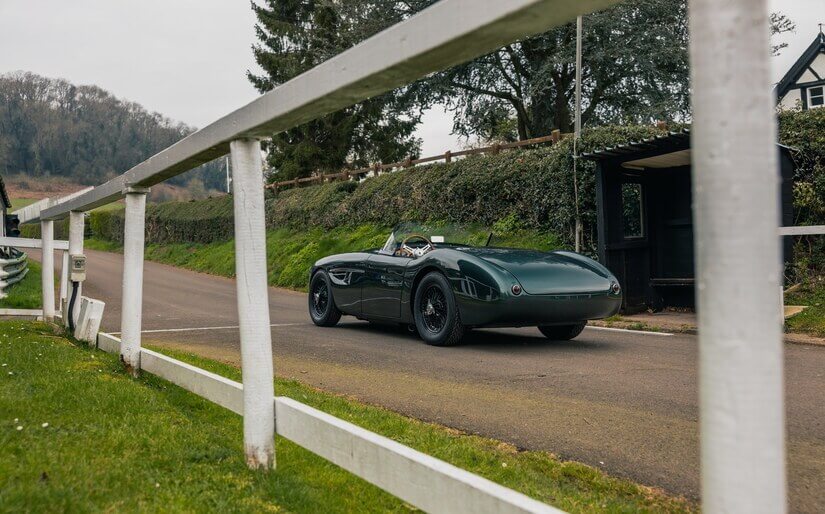 Austin Healey 100 perfil