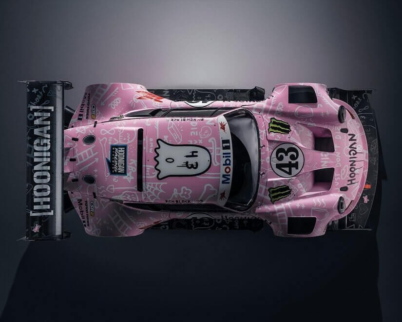 Hoonipigasus DESDE ARRIBA