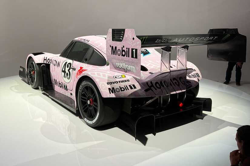 Hoonipigasus TRASERA