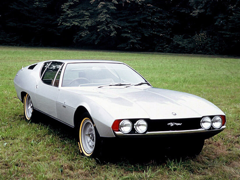 Bertone Pirana en prado