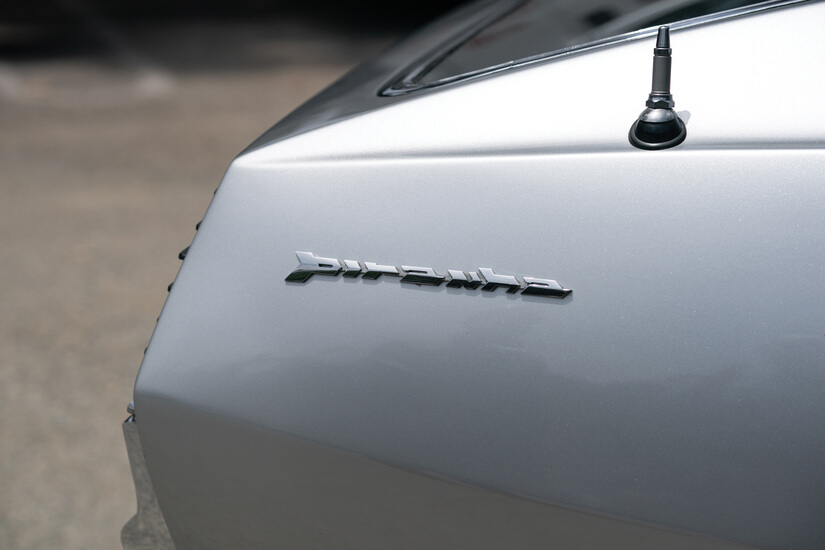 Bertone Pirana aleta