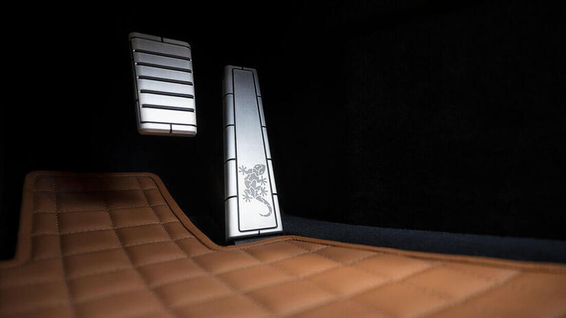 Wiesmann Thunderball pedales